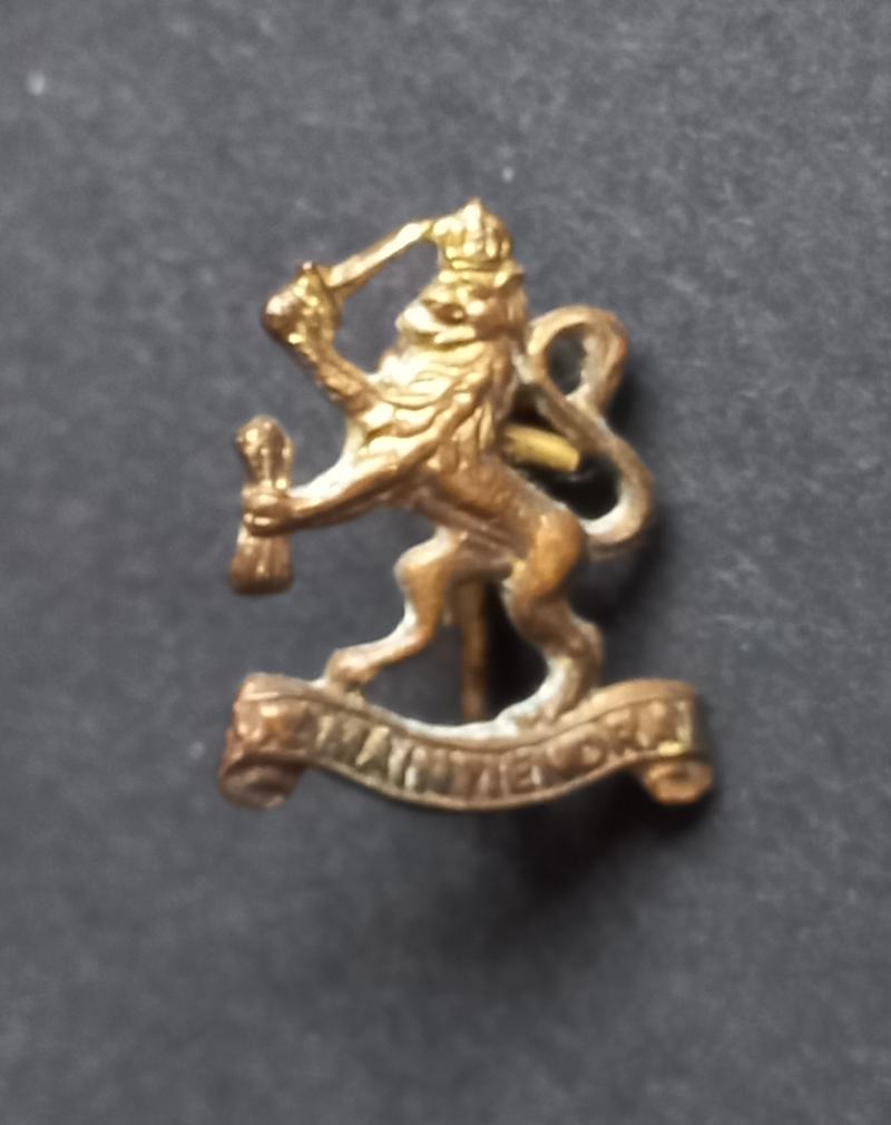 A attractive - British made - so called Dutch 'Spitfire Fund' pocket badge i.e pin